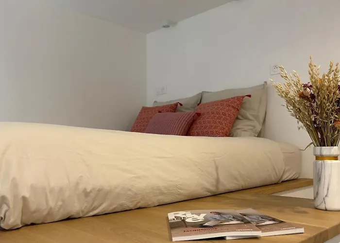 2 Pièces Jardin Des Plantes 5 Appartement